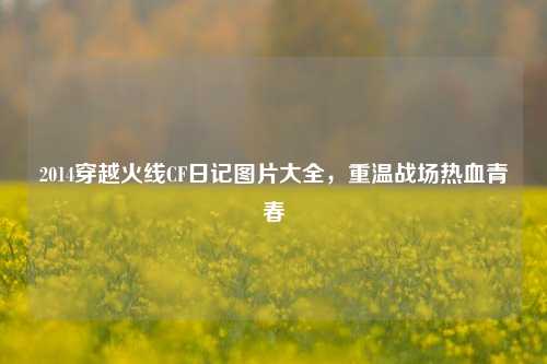 2014穿越火线CF日记图片大全,重温战场热血青春