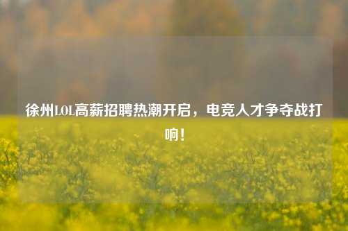 徐州LOL高薪 热潮开启,电竞人才争夺战打响!