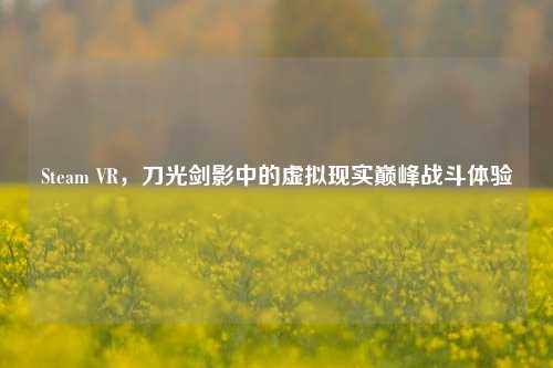 Steam VR,刀光剑影中的虚拟现实巅峰战斗体验