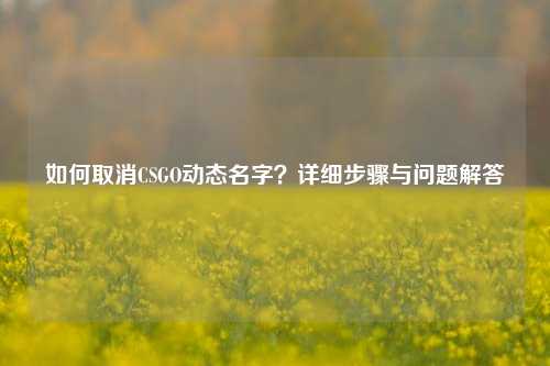 如何取消CSGO动态名字？详细步骤与问题解答
