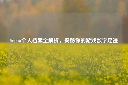 Steam个人档案全解析，揭秘你的游戏数字足迹