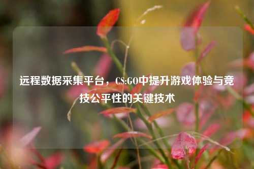 远程数据采集平台,CS:GO中提升游戏体验与竞技公平性的关键技术