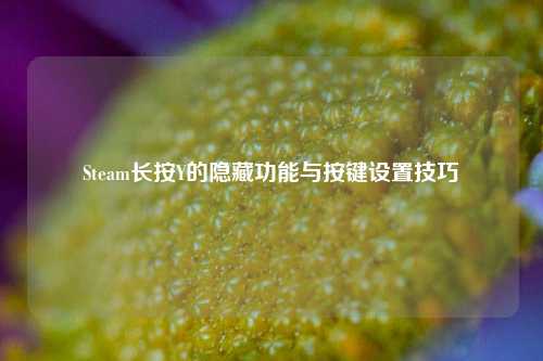 Steam长按Y的隐藏功能与按键设置技巧