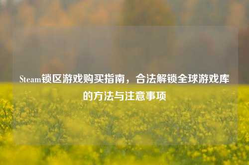 Steam锁区游戏购买指南,合法解锁全球游戏库的 与注意事项