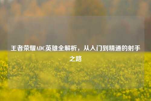 王者荣耀ADC英雄全解析,从入门到精通的射手之路