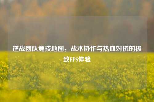 逆战团队竞技地图,战术协作与热血对抗的极致FPS体验