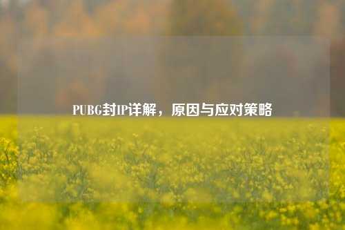 PUBG封IP详解,原因与应对策略