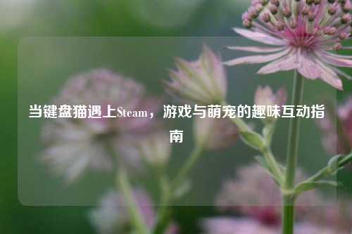 当键盘猫遇上Steam，游戏与萌宠的趣味互动指南