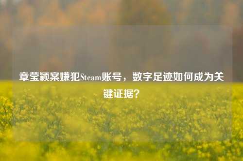 章莹颖案嫌犯Steam账号,数字足迹如何成为关键证据?
