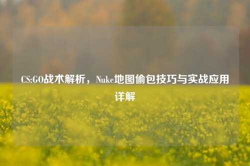 CS:GO战术解析，Nuke地图偷包技巧与实战应用详解