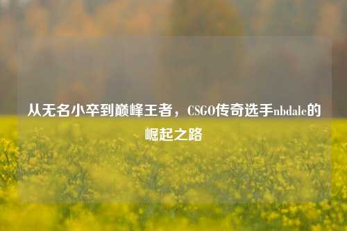 从无名小卒到巅峰王者，CSGO传奇选手nbdale的崛起之路