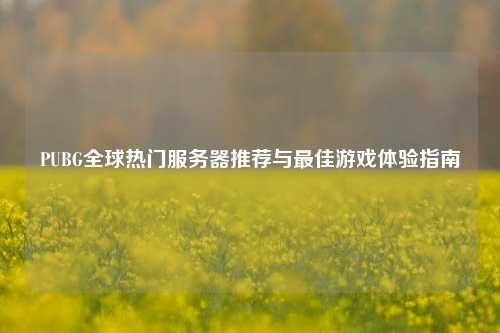 PUBG全球热门服务器推荐与更佳游戏体验指南