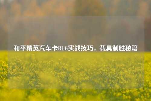 和平精英汽车卡BUG实战技巧，载具制胜秘籍