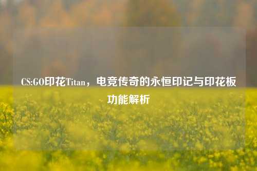 CS:GO印花Titan,电竞传奇的永恒印记与印花板功能解析