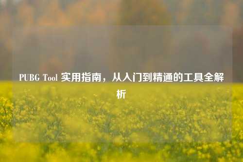 PUBG Tool 实用指南，从入门到精通的工具全解析