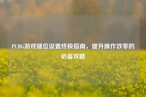 PUBG游戏键位设置终极指南，提升操作效率的必备攻略