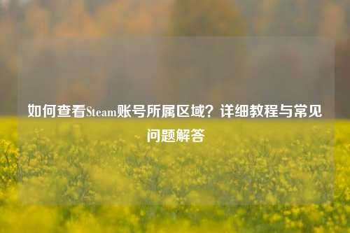 如何查看Steam账号所属区域？详细教程与常见问题解答