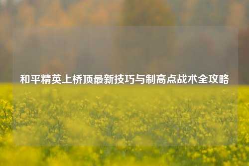 和平精英上桥顶最新技巧与制高点战术全攻略