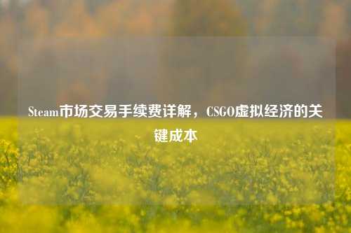 Steam市场交易手续费详解,CSGO虚拟经济的关键成本