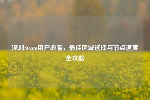 深圳Steam用户必看，更佳区域选择与节点速度全攻略