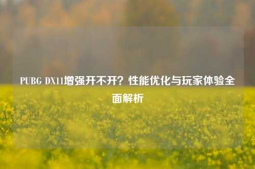 PUBG DX11增强开不开?性能优化与玩家体验全面解析