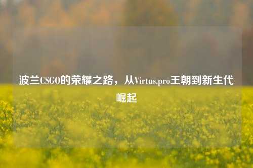 波兰CSGO的荣耀之路，从Virtus.pro王朝到新生代崛起