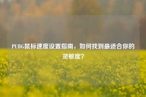 PUBG鼠标速度设置指南，如何找到最适合你的灵敏度？
