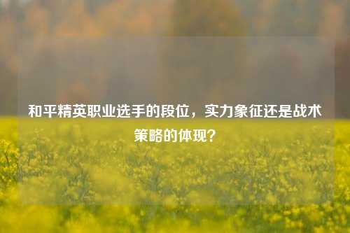 和平精英职业选手的段位，实力象征还是战术策略的体现？