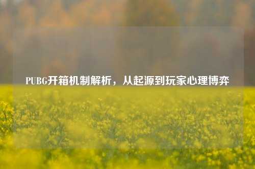 PUBG开箱机制解析，从起源到玩家心理博弈