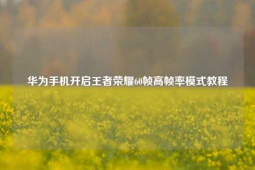 华为手机开启王者荣耀60帧高帧率模式教程