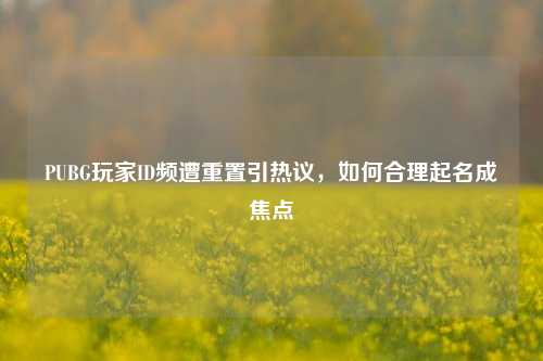 PUBG玩家ID频遭重置引热议,如何合理起名成焦点