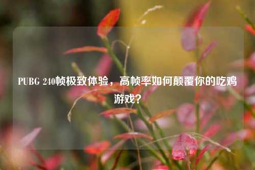 PUBG 240帧极致体验,高帧率如何颠覆你的吃鸡游戏?