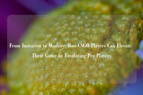 From Imitation to Mastery: How CSGO Players Can Elevate Their Game by Emulating Pro Players