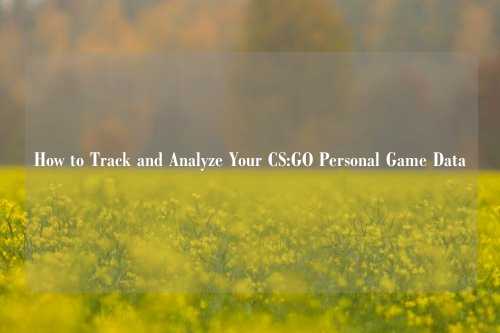 How to Track and Analyze Your CS:GO Personal Game Data