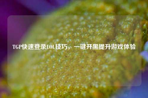 TGP快速登录LOL技巧，一键开黑提升游戏体验