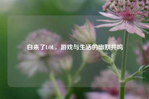 白来了LOL，游戏与生活的幽默共鸣