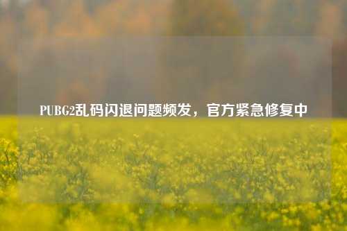 PUBG2乱码闪退问题频发，官方紧急修复中