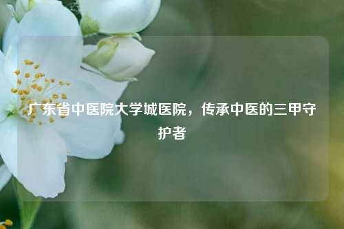 广东省中医院大学城医院，传承中医的三甲守护者