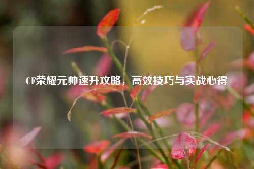 CF荣耀元帅速升攻略，高效技巧与实战心得