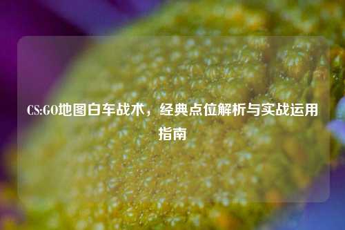 CS:GO地图白车战术，经典点位解析与实战运用指南