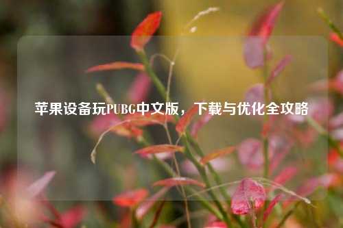 苹果设备玩PUBG中文版，下载与优化全攻略