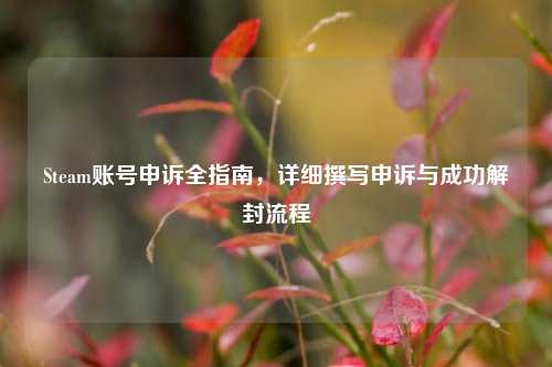 Steam账号申诉全指南，详细撰写申诉与成功解封流程