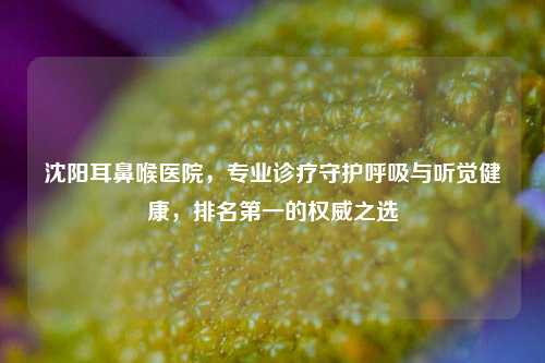 沈阳耳鼻喉医院，专业诊疗守护呼吸与听觉健康，排名之一的权威之选