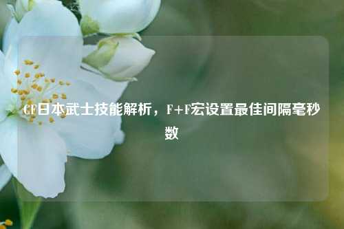 CF日本武士技能解析，F+F宏设置更佳间隔毫秒数