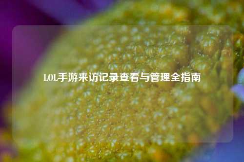 LOL手游来访记录查看与管理全指南