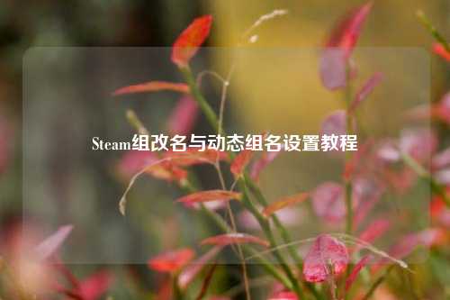 Steam组改名与动态组名设置教程