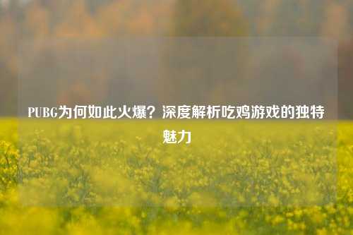 PUBG为何如此火爆？深度解析吃鸡游戏的独特魅力