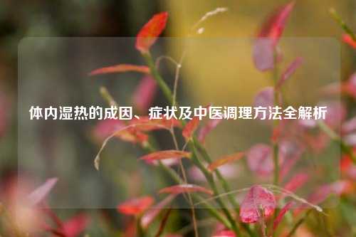 体内湿热的成因、症状及中医调理     全解析