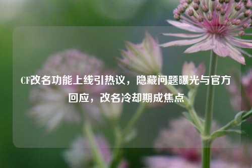 CF改名功能上线引热议，隐藏问题曝光与官方回应，改名冷却期成焦点