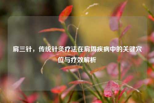 肩三针，传统针灸疗法在肩周疾病中的关键穴位与疗效解析